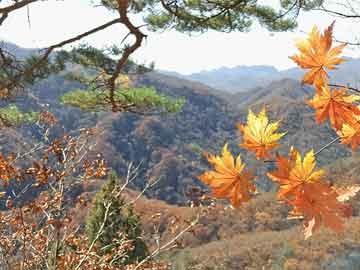 鞍山实时天气与黄金价格关联解析