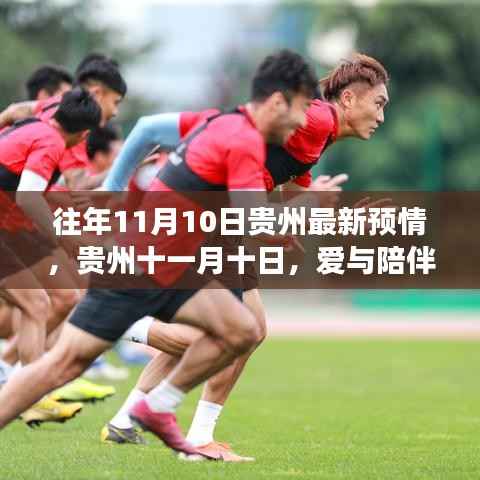 贵州十一月十日,爱与陪伴的温馨故事揭晓