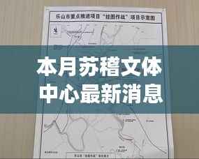 公司概况 第251页