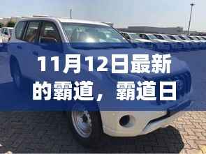 11月12日霸道日常,温馨小事的记录