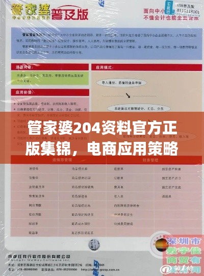 管家婆204资料官方正版集锦,电商应用策略指南_BFZ164.13