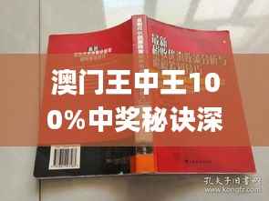 澳门王中王100%中奖秘诀深度剖析_UMPS930.8高级版