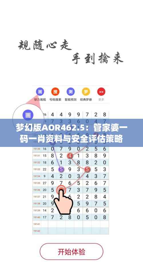 梦幻版AOR462.5:管家婆一码一肖资料与安全评估策略