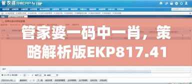 管家婆一码中一肖,策略解析版EKP817.41测试版