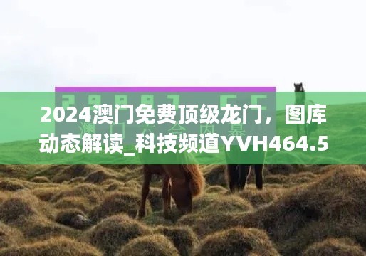 2024澳门免费顶级龙门,图库动态解读_科技频道YVH464.54