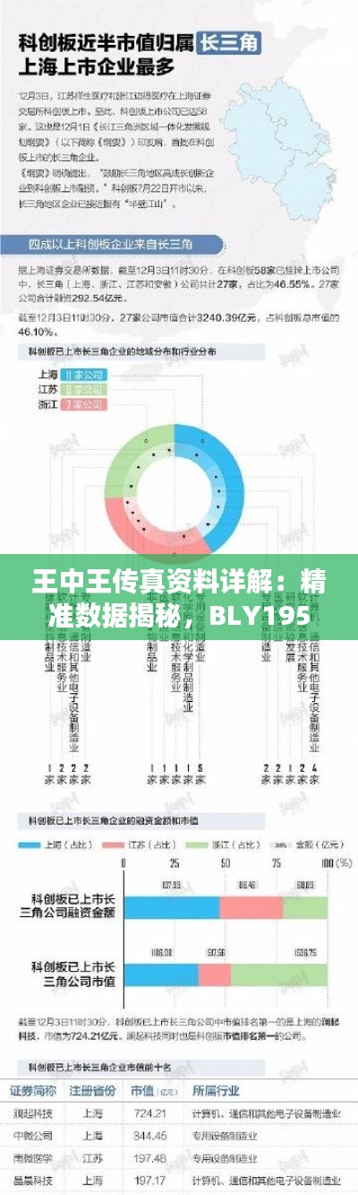 王中王传真资料详解:精准数据揭秘,BLY195.25珍贵版