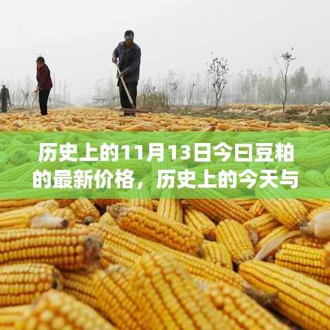 揭秘豆粕市场,今日价格走势与历史上的今天关联揭秘