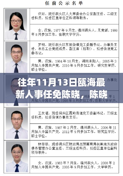 瓯海人事任免新动态,陈晓的任命与小巷深处的独特小店探秘之旅