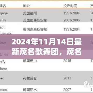 茂名歌舞团深度体验与专业评测,最新动态(2024年11月14日)