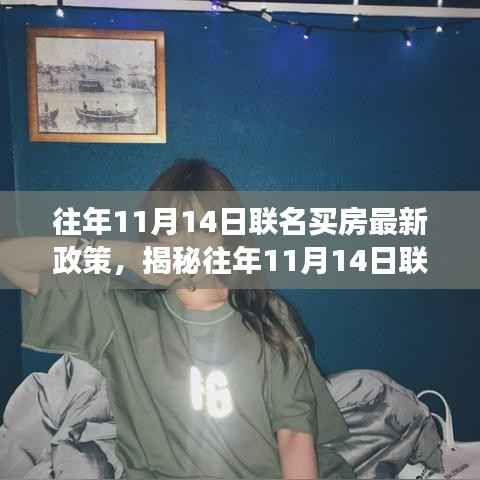 揭秘往年11月14日联名买房政策深度解读与最新动态分析