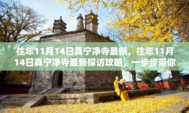 往年11月14日真宁净寺探访攻略,领略古寺魅力,最新指南全解析