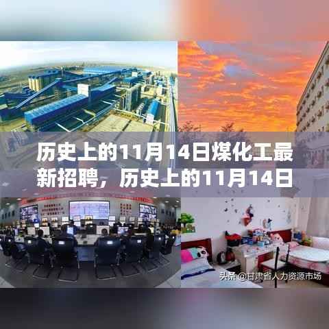 历史上的11月14日,煤化工招聘平台深度测评与最新岗位发布