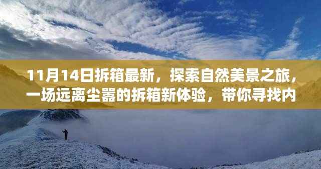 11月14日最新拆箱体验,自然美景之旅,寻找内心的宁静与喜悦