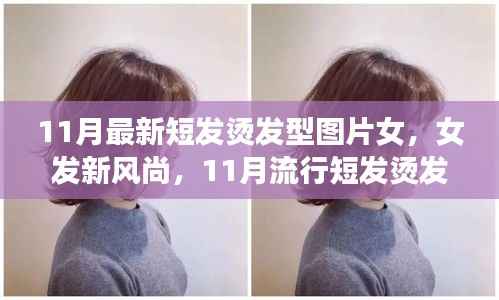 11月流行女发短烫发,全新风尚与全攻略图片欣赏