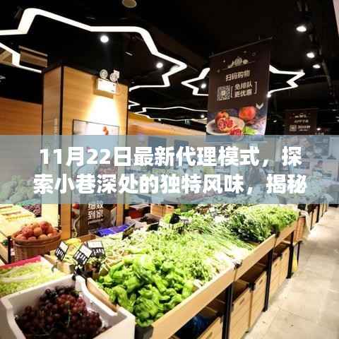 探索小巷深处,特色小店最新代理模式揭秘之旅