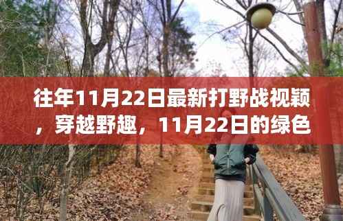 往年11月22日最新打野战视颖,穿越野趣,11月22日的绿色冒险之旅,寻找内心的宁静与平和