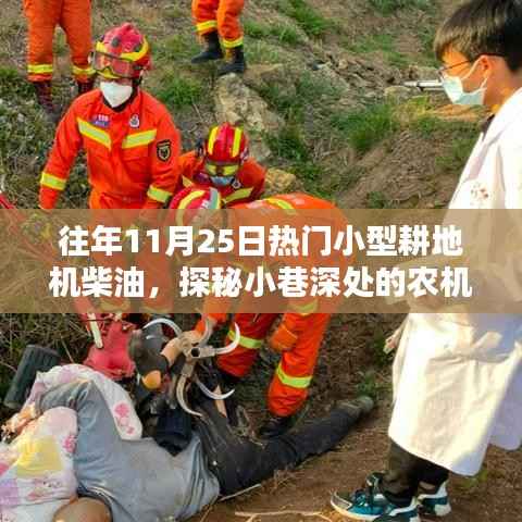 探秘11月25日炙手可热的小型耕地机柴油市场,小巷深处的宝藏店铺