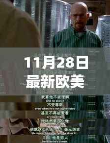 欧美青瑟新潮流个人视角正反分析,11月28日最新趋势观察