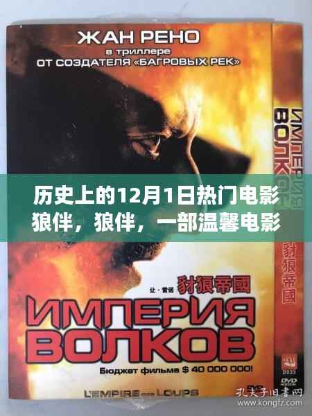 狼伴,一部温馨电影背后的暖心故事与历史的回响