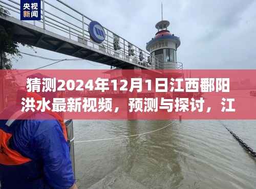 江西鄱阳湖区洪水现象观察与预测,聚焦2024年12月1日的最新视频探讨