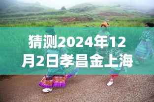 孝昌金上海2024年12月2日探寻自然秘境,旅行热潮预测,奇妙之旅即将启程