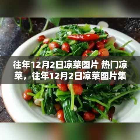 往年12月2日热门凉菜集锦,揭秘凉菜魅力与图片解密
