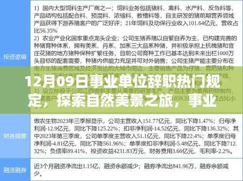 招标采购 第144页