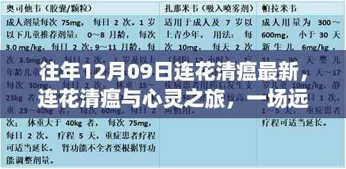 连花清瘟与心灵之旅,远离尘嚣的奇妙探险之旅