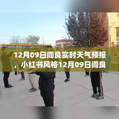 小红书风格12月09日阎良实时天气预报,冬日暖阳下的精准气象预测概览