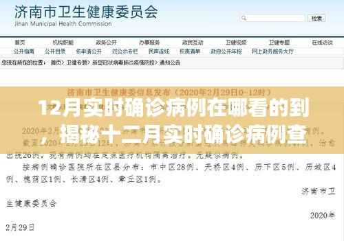 揭秘十二月实时确诊病例查询途径,轻松掌握疫情动态科普知识