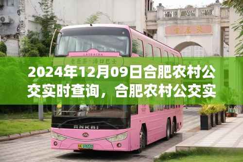 合肥农村公交实时查询系统使用指南,初学者与进阶用户通用(2024年12月09日版)