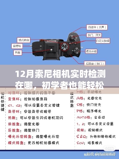 初学者也能轻松掌握!12月索尼相机实时检测功能使用指南