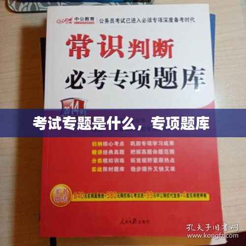 考试专题是什么,专项题库