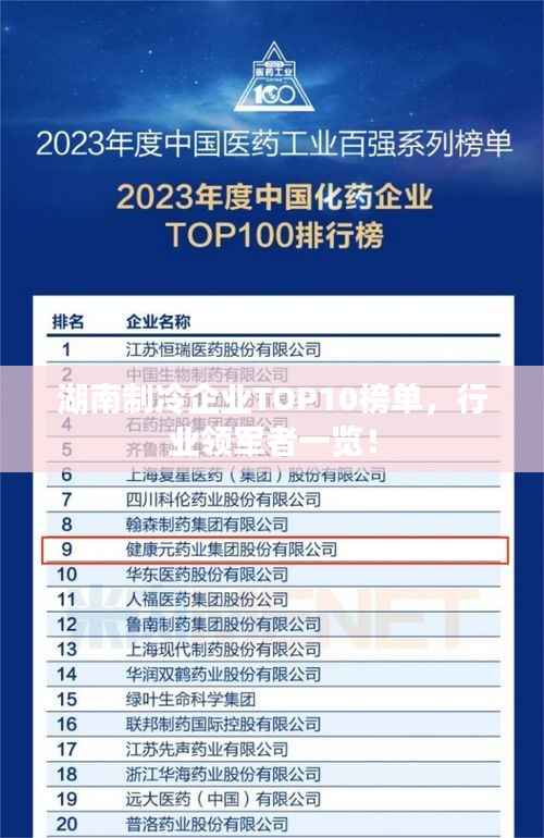 湖南制冷企业TOP10榜单,行业领军者一览!