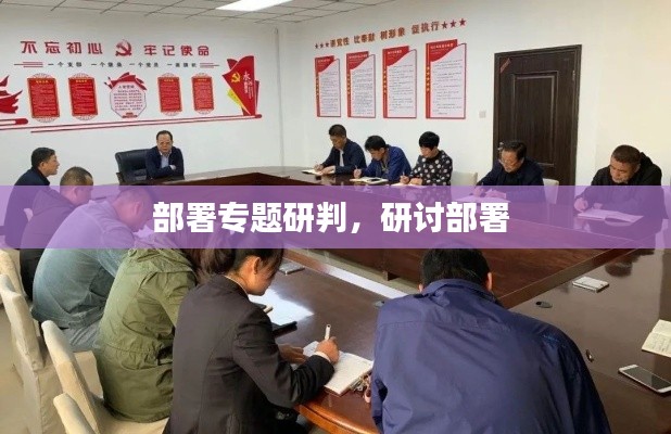 部署专题研判,研讨部署