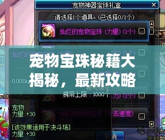 宠物宝珠秘籍大揭秘,最新攻略视频助你成为养成高手!