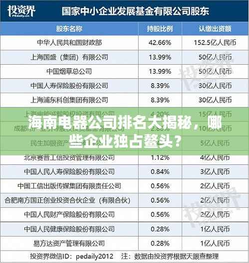 海南电器公司排名大揭秘,哪些企业独占鳌头?