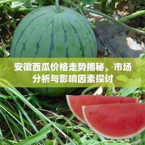 安徽西瓜价格走势揭秘,市场分析与影响因素探讨