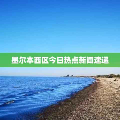 鸟为食亡 第3页