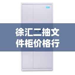 徐汇二抽文件柜价格行情深度解析
