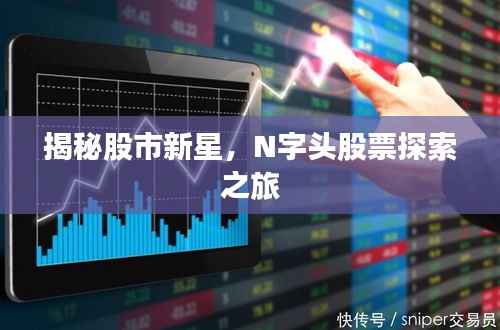 揭秘股市新星，N字头股票探索之旅