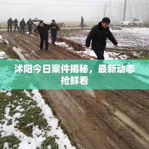 沭阳今日案件揭秘,最新动态抢鲜看