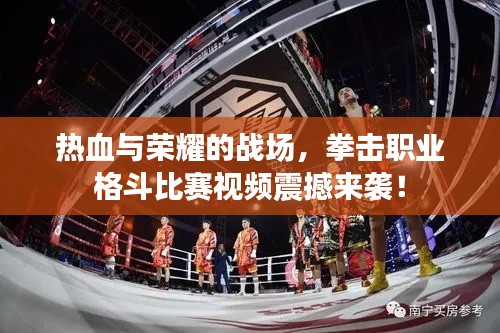 热血与荣耀的战场，拳击职业格斗比赛视频震撼来袭！