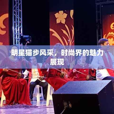 明星猫步风采,时尚界的魅力展现