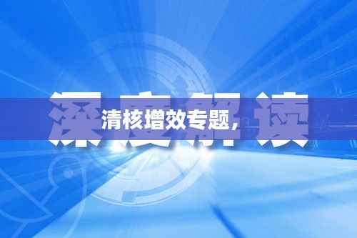 清核增效专题,