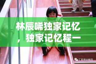 林辰唏独家记忆,独家记忆程一