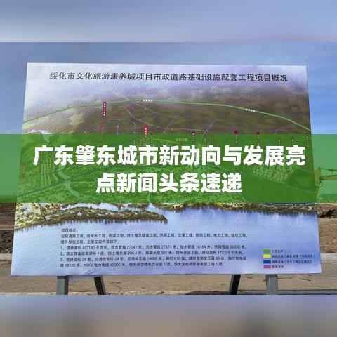 广东肇东城市新动向与发展亮点新闻头条速递
