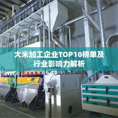 大米加工企业TOP10榜单及行业影响力解析